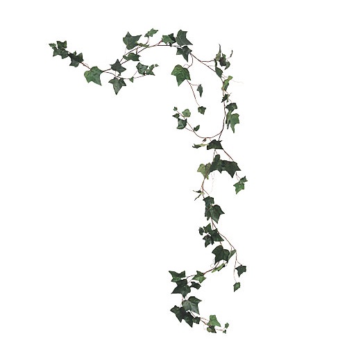 Ivy Vine Garland - Greenery & Floral - English Ivy garland bulk for rent